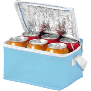 Spectrum 6-can cooler bag (10018208)