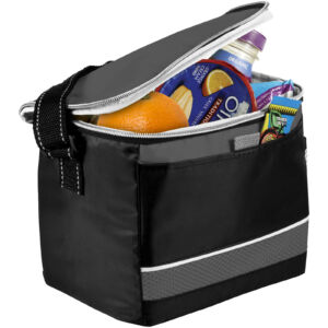 Levy sports cooler bag (12016900)